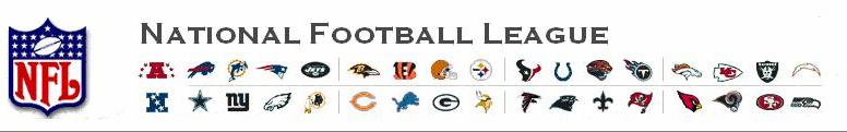 Sport Teams Banners - NFL