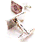 carpet-2.png